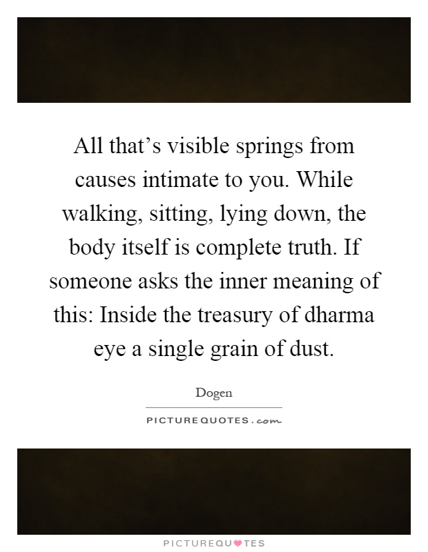All that's visible springs from causes intimate to you. While walking, sitting, lying down, the body itself is complete truth. If someone asks the inner meaning of this: Inside the treasury of dharma eye a single grain of dust Picture Quote #1