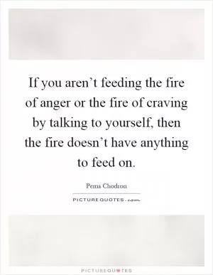 If you aren’t feeding the fire of anger or the fire of craving by talking to yourself, then the fire doesn’t have anything to feed on Picture Quote #1