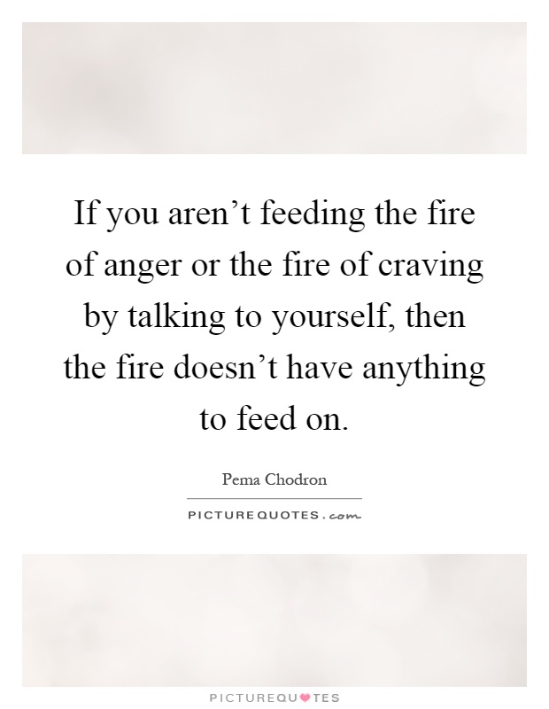 If you aren't feeding the fire of anger or the fire of craving by talking to yourself, then the fire doesn't have anything to feed on Picture Quote #1