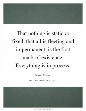 That nothing is static or fixed, that all is fleeting and impermanent, is the first mark of existence. Everything is in process Picture Quote #1