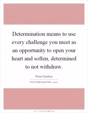 Determination means to use every challenge you meet as an opportunity to open your heart and soften, determined to not withdraw Picture Quote #1