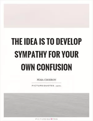 The idea is to develop sympathy for your own confusion Picture Quote #1