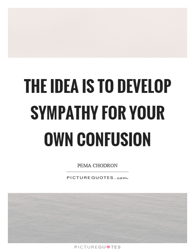 The idea is to develop sympathy for your own confusion Picture Quote #1