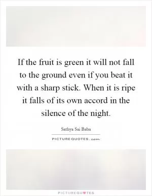 If the fruit is green it will not fall to the ground even if you beat it with a sharp stick. When it is ripe it falls of its own accord in the silence of the night Picture Quote #1