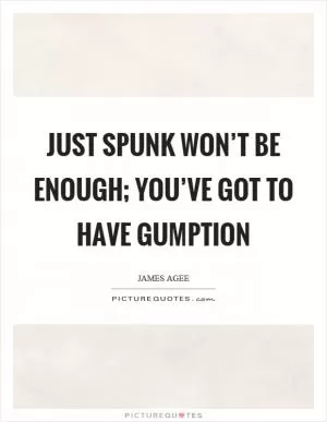 Just spunk won’t be enough; you’ve got to have gumption Picture Quote #1
