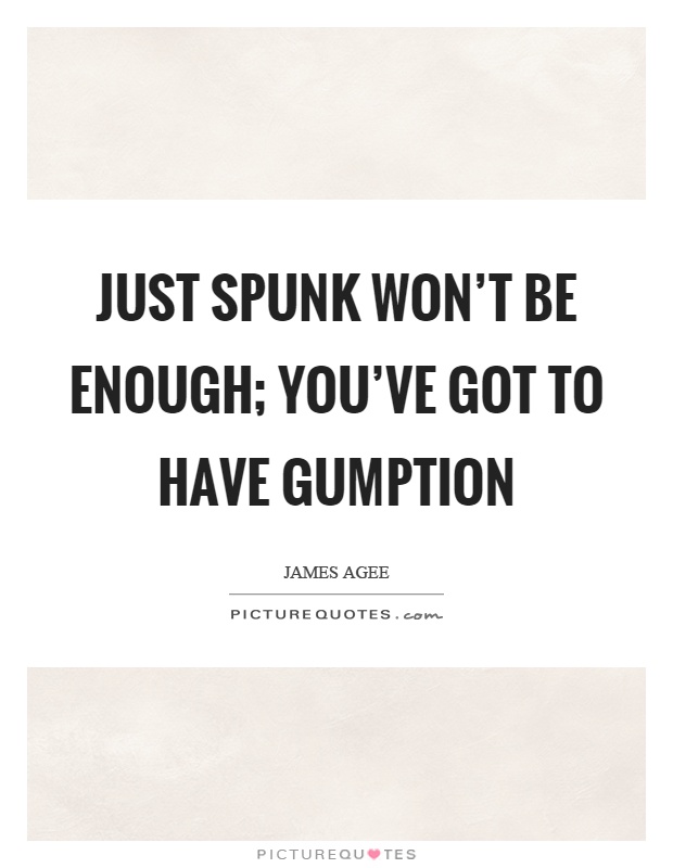 Just spunk won't be enough; you've got to have gumption Picture Quote #1