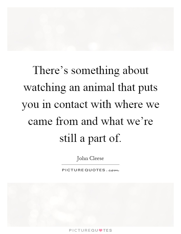 There's something about watching an animal that puts you in contact with where we came from and what we're still a part of Picture Quote #1