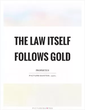 The law itself follows gold Picture Quote #1