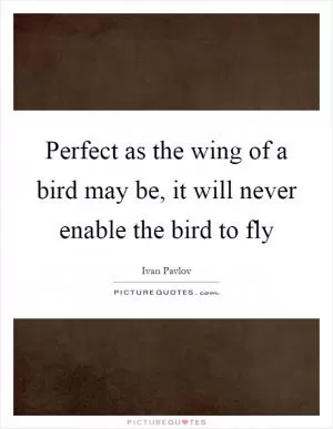Perfect as the wing of a bird may be, it will never enable the bird to fly Picture Quote #1