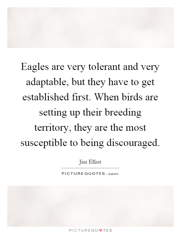 Eagles are very tolerant and very adaptable, but they have to get established first. When birds are setting up their breeding territory, they are the most susceptible to being discouraged Picture Quote #1