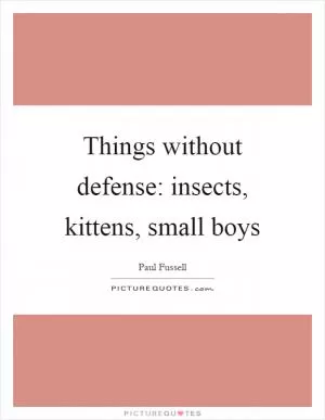 Things without defense: insects, kittens, small boys Picture Quote #1