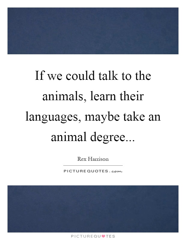 If we could talk to the animals, learn their languages, maybe take an animal degree Picture Quote #1