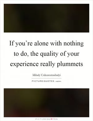 If you’re alone with nothing to do, the quality of your experience really plummets Picture Quote #1
