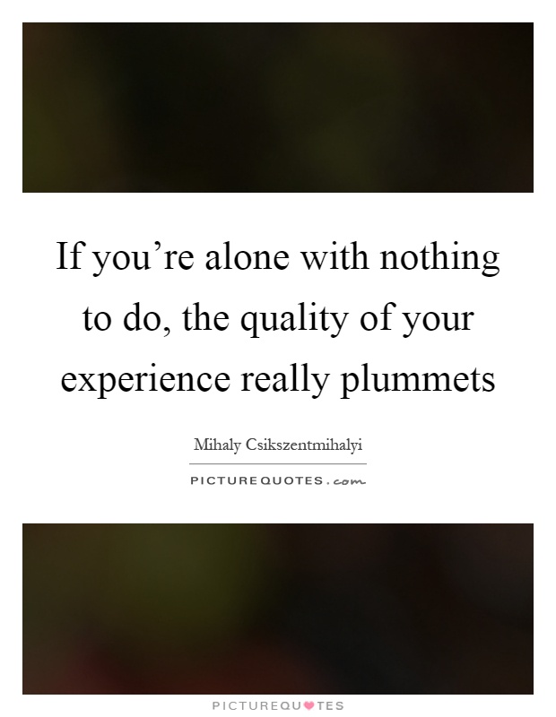 If you're alone with nothing to do, the quality of your experience really plummets Picture Quote #1