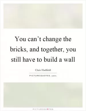 You can’t change the bricks, and together, you still have to build a wall Picture Quote #1