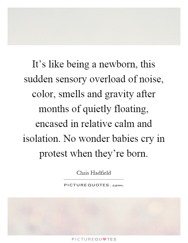 It's like being a newborn, this sudden sensory overload of noise, color, smells and gravity after months of quietly floating, encased in relative calm and isolation. No wonder babies cry in protest when they're born Picture Quote #1