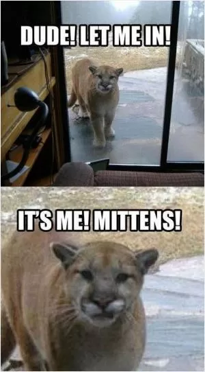 Dude! Let me in! It’s me! Mittens! Picture Quote #1