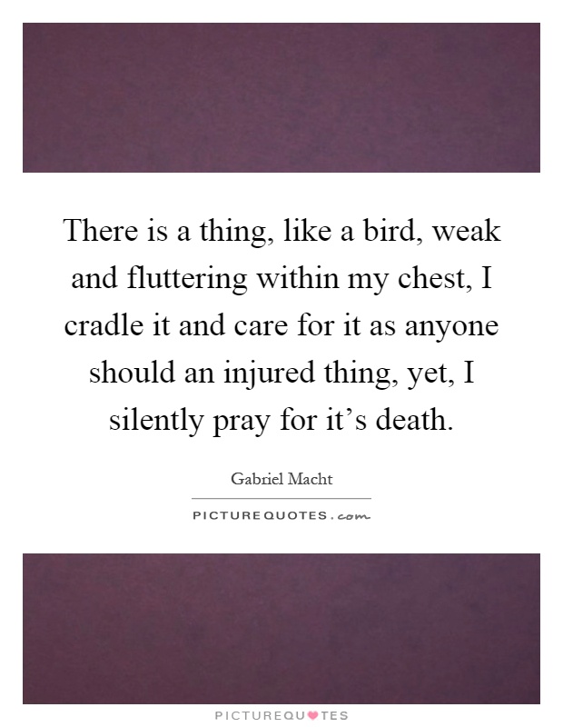 There is a thing, like a bird, weak and fluttering within my chest, I cradle it and care for it as anyone should an injured thing, yet, I silently pray for it's death Picture Quote #1