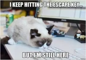 I keep hitting the escape key.... but I’m still here Picture Quote #1