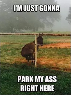 I’m just gonna park my ass here Picture Quote #1