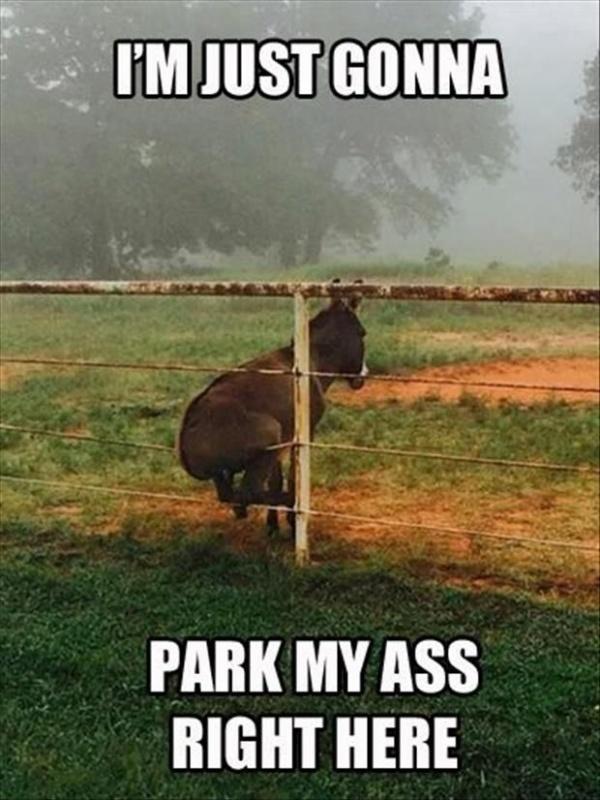 I'm just gonna park my ass here Picture Quote #1