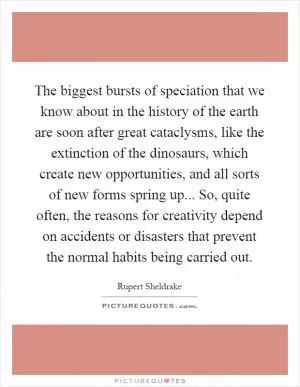 The biggest bursts of speciation that we know about in the history of the earth are soon after great cataclysms, like the extinction of the dinosaurs, which create new opportunities, and all sorts of new forms spring up... So, quite often, the reasons for creativity depend on accidents or disasters that prevent the normal habits being carried out Picture Quote #1