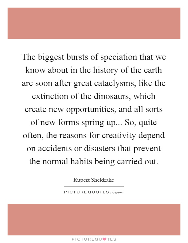 The biggest bursts of speciation that we know about in the history of the earth are soon after great cataclysms, like the extinction of the dinosaurs, which create new opportunities, and all sorts of new forms spring up... So, quite often, the reasons for creativity depend on accidents or disasters that prevent the normal habits being carried out Picture Quote #1