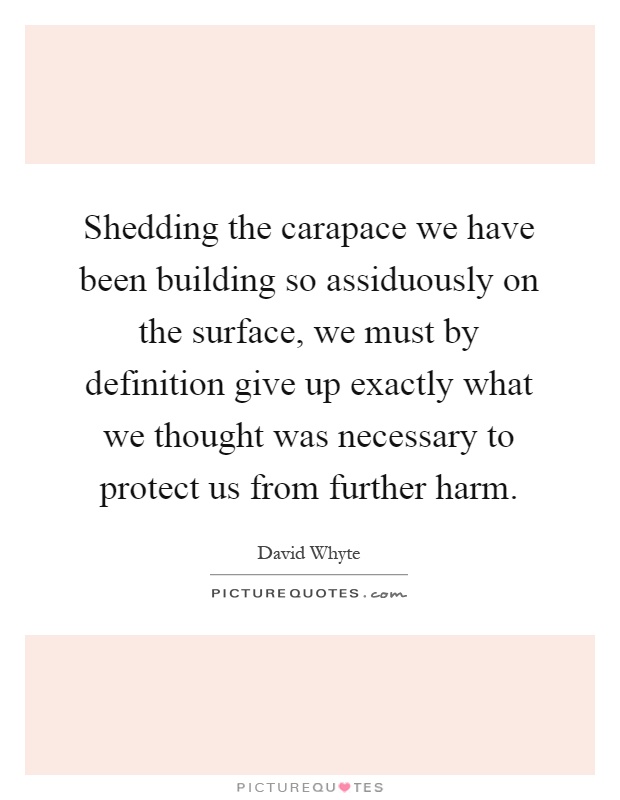 Shedding the carapace we have been building so assiduously on the surface, we must by definition give up exactly what we thought was necessary to protect us from further harm Picture Quote #1