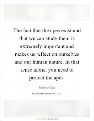 The fact that the apes exist and that we can study them is extremely important and makes us reflect on ourselves and our human nature. In that sense alone, you need to protect the apes Picture Quote #1