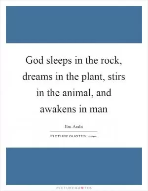 God sleeps in the rock, dreams in the plant, stirs in the animal, and awakens in man Picture Quote #1