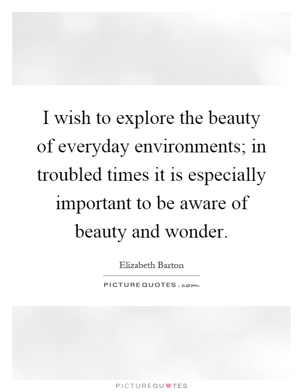 I wish to explore the beauty of everyday environments; in troubled times it is especially important to be aware of beauty and wonder Picture Quote #1