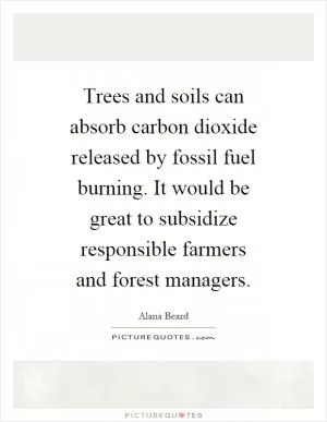 Trees and soils can absorb carbon dioxide released by fossil fuel burning. It would be great to subsidize responsible farmers and forest managers Picture Quote #1