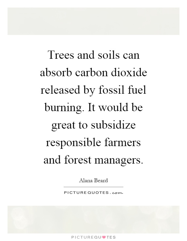 Trees and soils can absorb carbon dioxide released by fossil fuel burning. It would be great to subsidize responsible farmers and forest managers Picture Quote #1