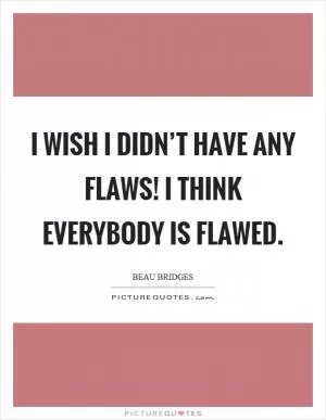 I wish I didn’t have any flaws! I think everybody is flawed Picture Quote #1
