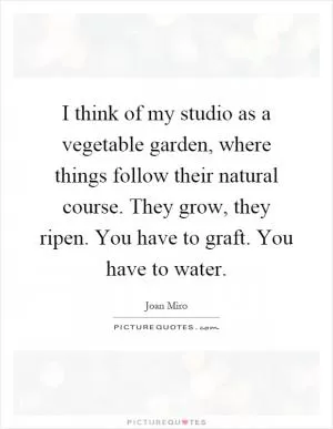 I think of my studio as a vegetable garden, where things follow their natural course. They grow, they ripen. You have to graft. You have to water Picture Quote #1