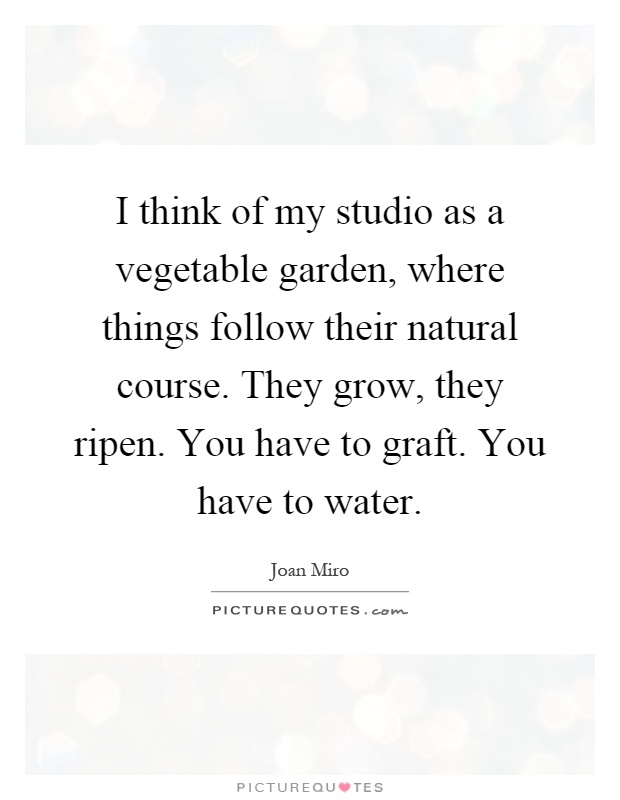 I think of my studio as a vegetable garden, where things follow their natural course. They grow, they ripen. You have to graft. You have to water Picture Quote #1