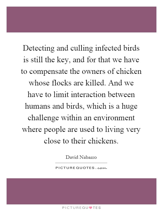Detecting and culling infected birds is still the key, and for that we have to compensate the owners of chicken whose flocks are killed. And we have to limit interaction between humans and birds, which is a huge challenge within an environment where people are used to living very close to their chickens Picture Quote #1