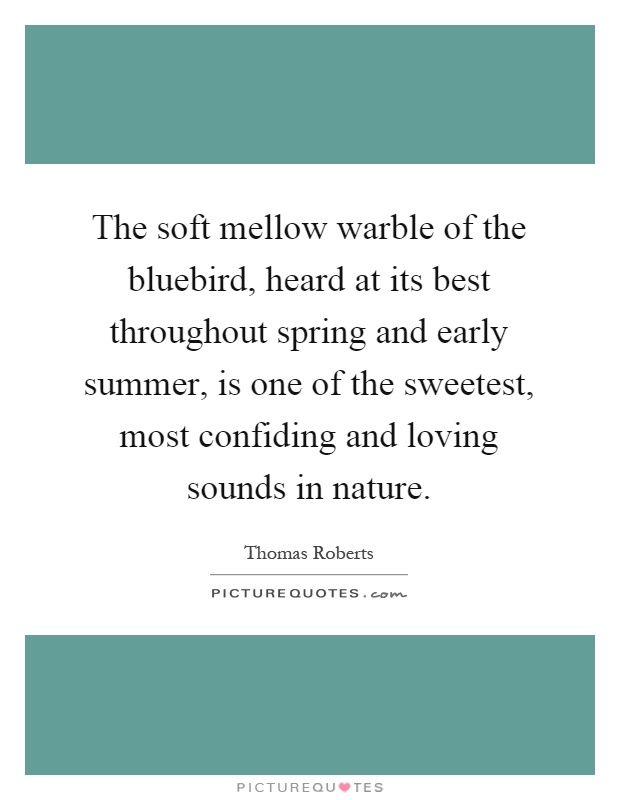 The soft mellow warble of the bluebird, heard at its best throughout spring and early summer, is one of the sweetest, most confiding and loving sounds in nature Picture Quote #1