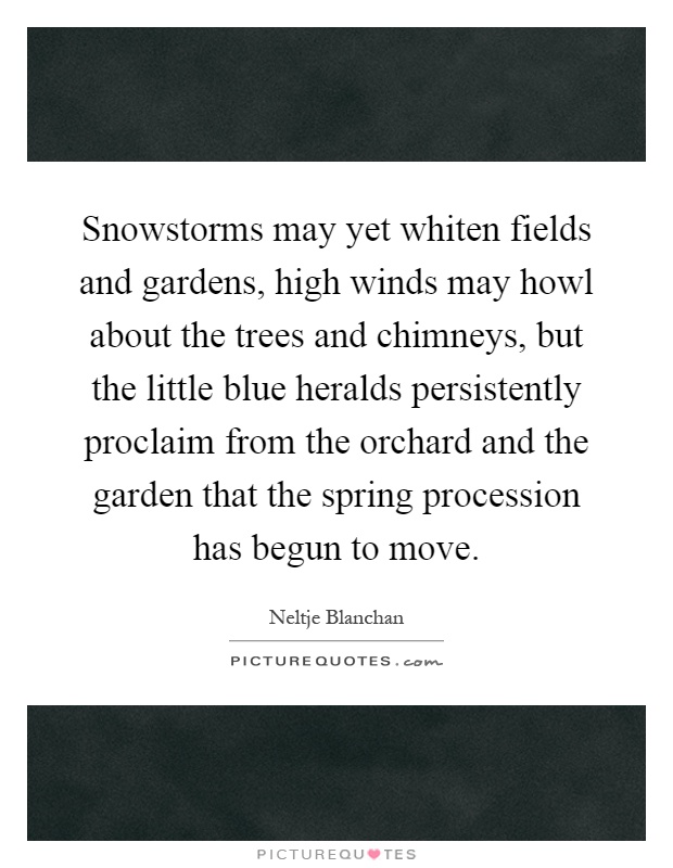 Snowstorms may yet whiten fields and gardens, high winds may howl about the trees and chimneys, but the little blue heralds persistently proclaim from the orchard and the garden that the spring procession has begun to move Picture Quote #1