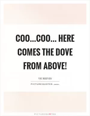 Coo...coo... here comes the dove from above! Picture Quote #1