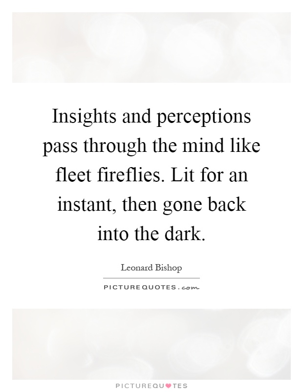 Insights and perceptions pass through the mind like fleet fireflies. Lit for an instant, then gone back into the dark Picture Quote #1