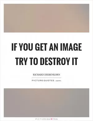If you get an image try to destroy it Picture Quote #1