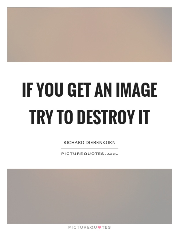 If you get an image try to destroy it Picture Quote #1