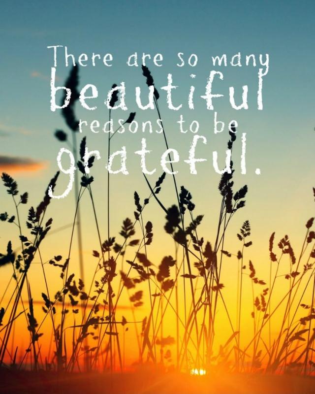 There are so many beautiful reasons to be grateful Picture Quote #1