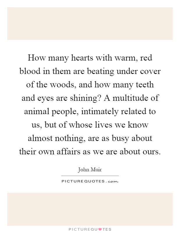 How many hearts with warm, red blood in them are beating under cover of the woods, and how many teeth and eyes are shining? A multitude of animal people, intimately related to us, but of whose lives we know almost nothing, are as busy about their own affairs as we are about ours Picture Quote #1