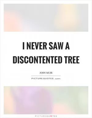 I never saw a discontented tree Picture Quote #1