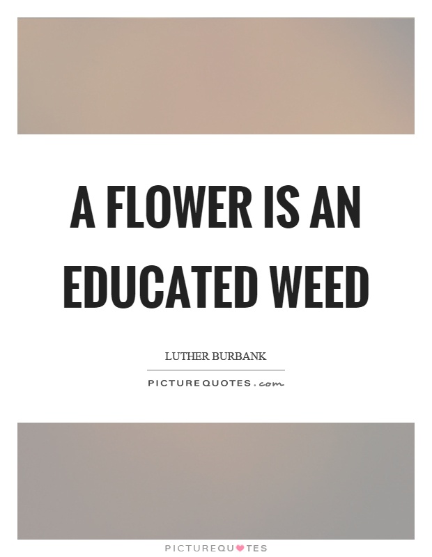 A flower is an educated weed Picture Quote #1
