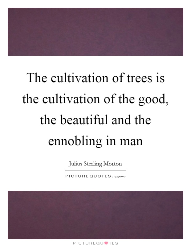 The cultivation of trees is the cultivation of the good, the beautiful and the ennobling in man Picture Quote #1