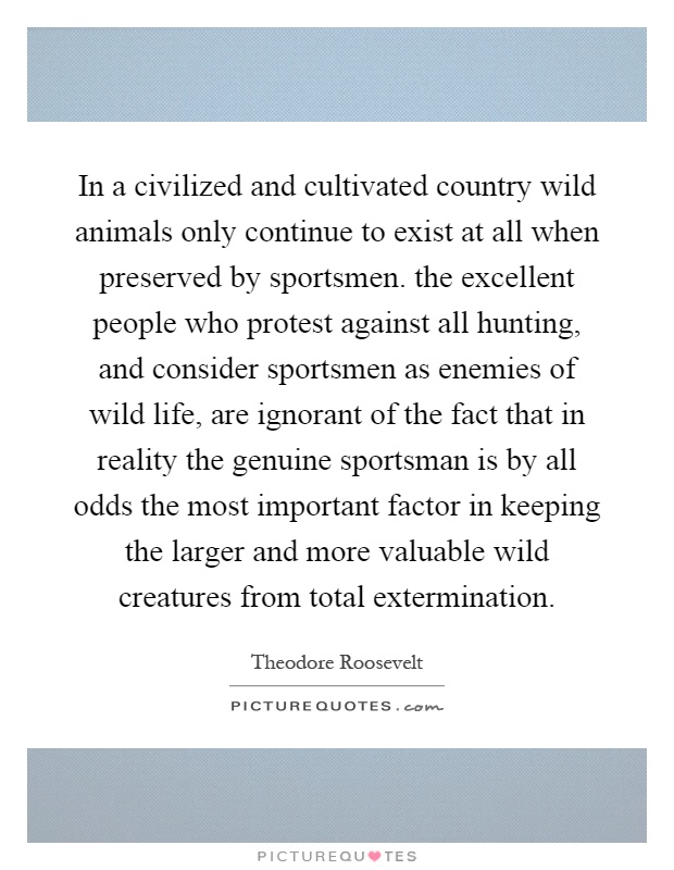 In a civilized and cultivated country wild animals only continue to exist at all when preserved by sportsmen. the excellent people who protest against all hunting, and consider sportsmen as enemies of wild life, are ignorant of the fact that in reality the genuine sportsman is by all odds the most important factor in keeping the larger and more valuable wild creatures from total extermination Picture Quote #1