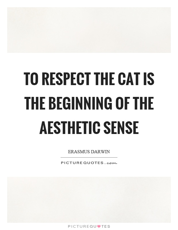 To respect the cat is the beginning of the aesthetic sense Picture Quote #1